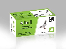 4 IN 1 