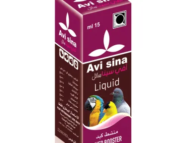 أفي سينا